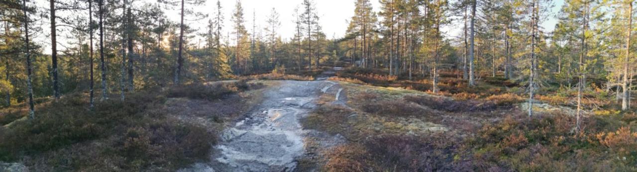 Hyttingsfabodstugor Borlänge Buitenkant foto