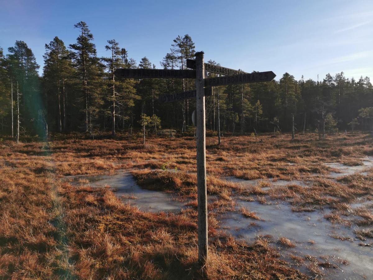 Hyttingsfabodstugor Borlänge Buitenkant foto