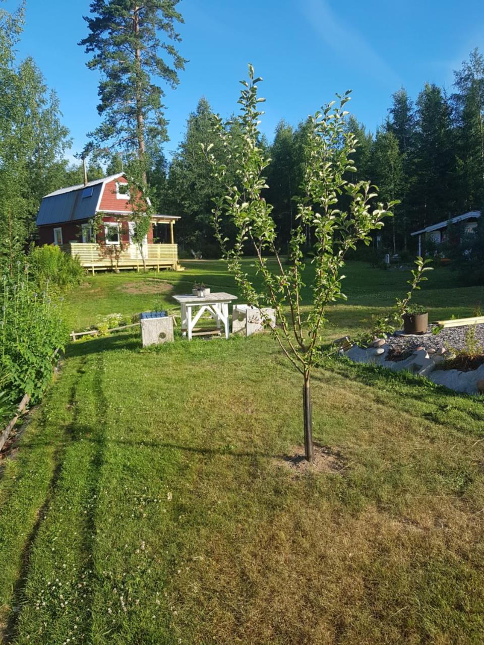 Hyttingsfabodstugor Borlänge Buitenkant foto